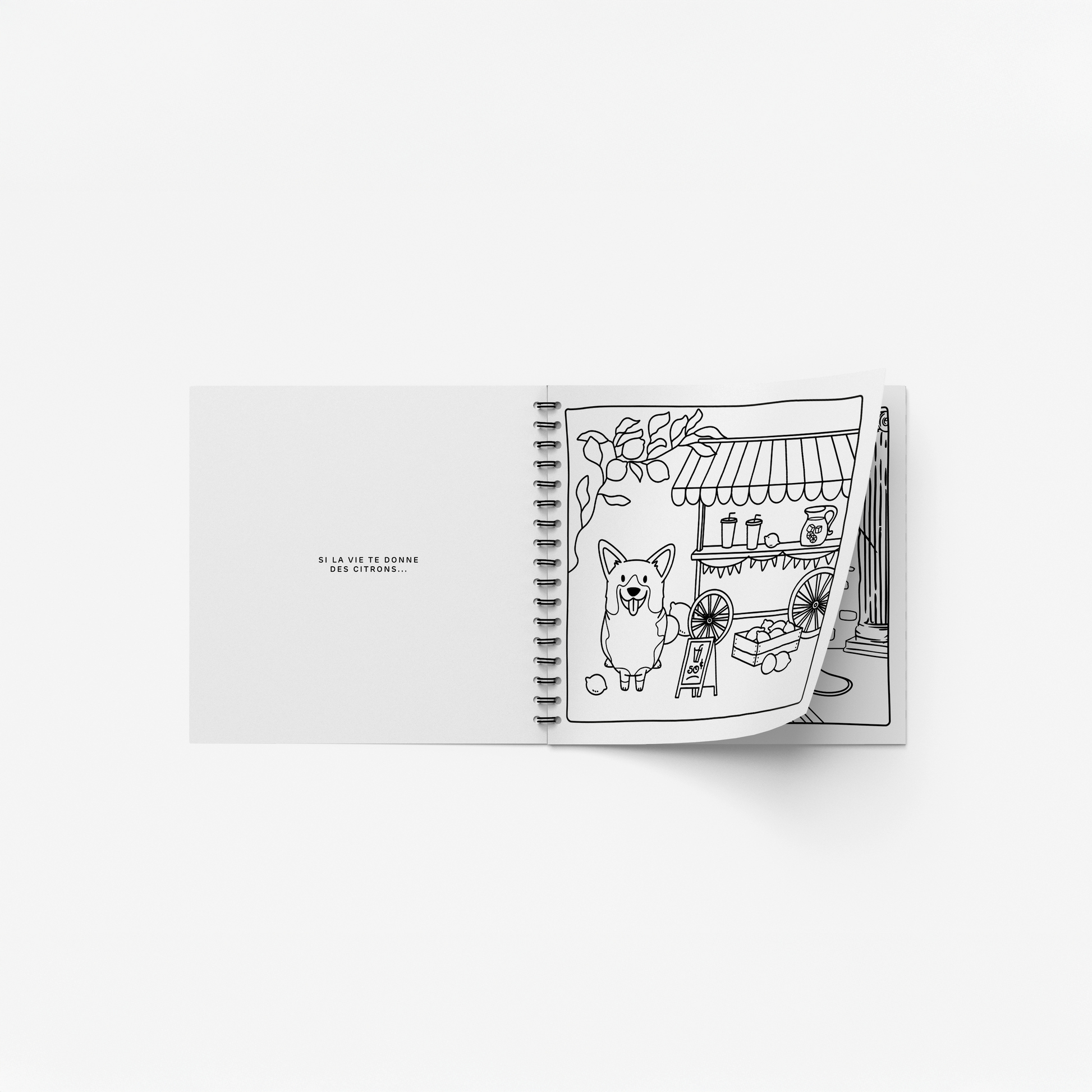 Livre de coloriage