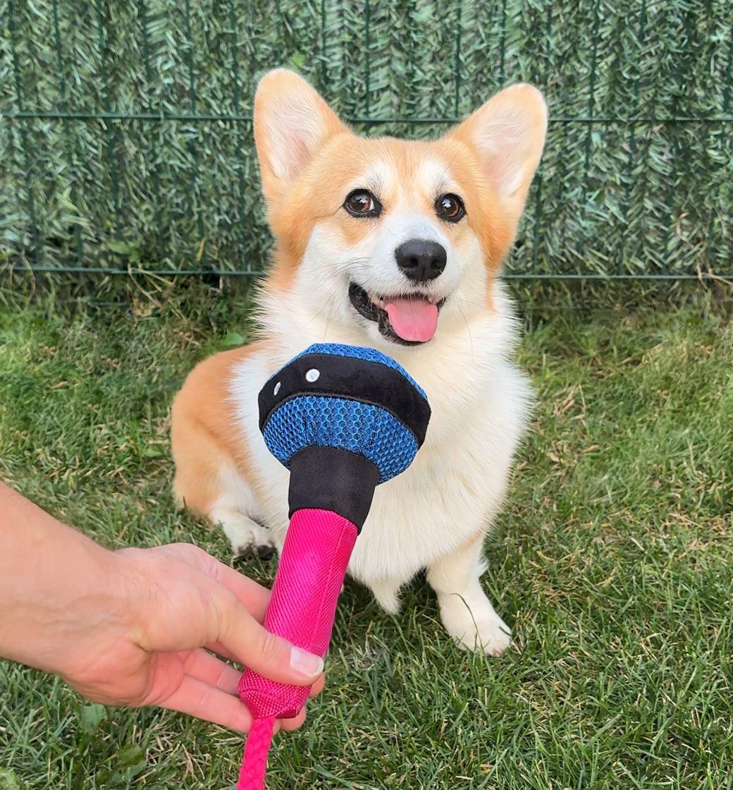 Jouet Chien - Micro
