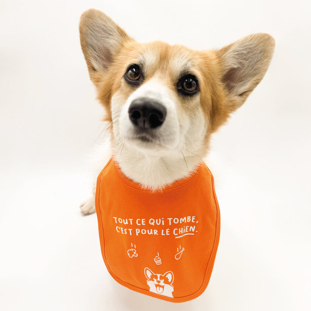 Bavoir enfant - Tout ce qui tombe c'est pour le chien