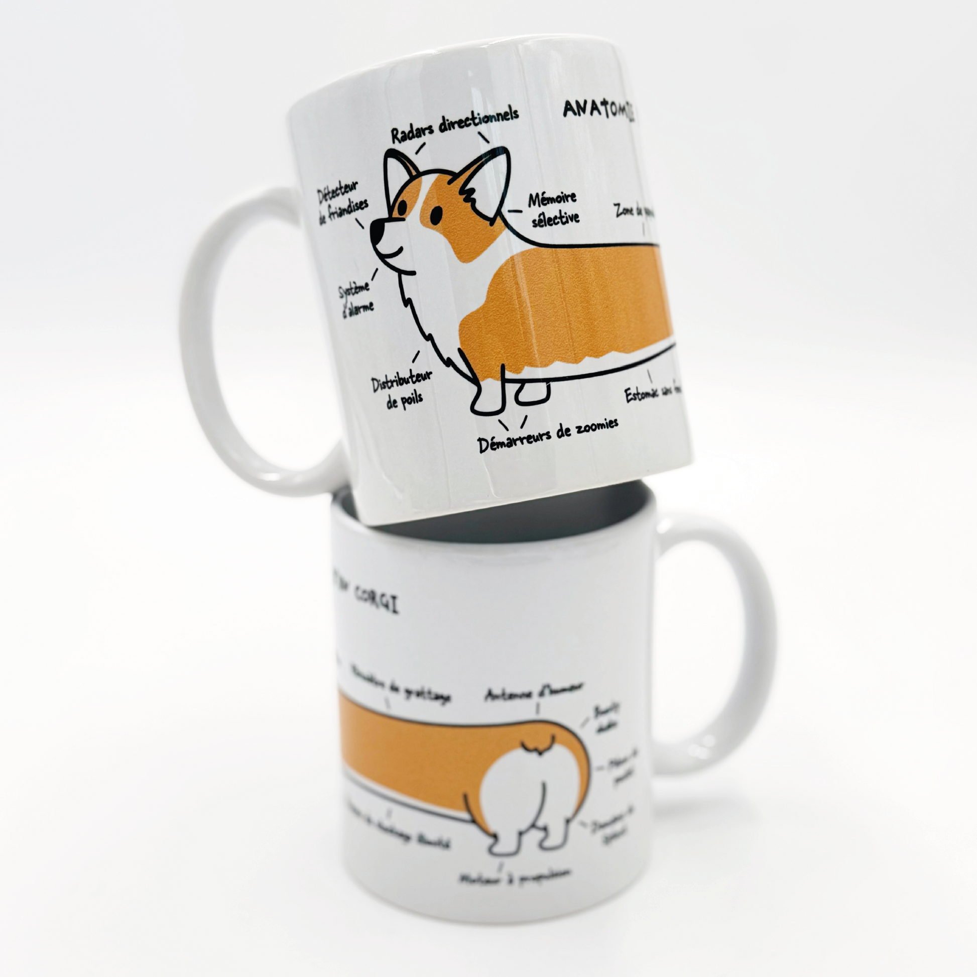 Mug - Anatomie d'un Corgi
